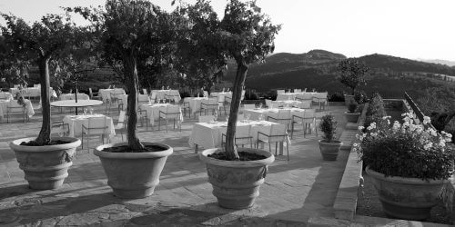 Authentic terracotta planters made in Impurneta Italy.