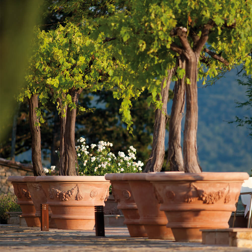 Terracotta Planter for trees